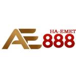 AE888 haemet Profile Picture