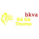 Đá Gà Trực Tiếp Thomo Profile Picture