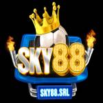 Sky88 Srl Profile Picture