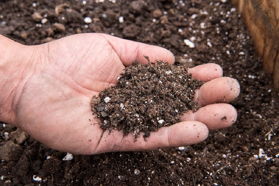 What Are the Three Main Types of Organic Compost? – Telegraph