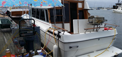 Fuel Polishing San Diego and Boat Fuel Polishing Near Me