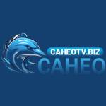 Caheotv Biz Profile Picture