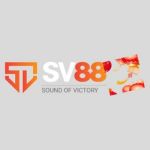 SV88 Profile Picture