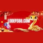 Lô đẹp 368 Profile Picture