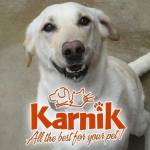 Karnik Pet Lodge at Central Avenue Profile Picture