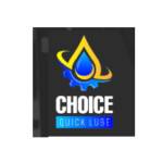 ChoiceQuick Lube Profile Picture