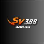 SV3888 REST Profile Picture