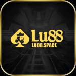 lu88space Profile Picture