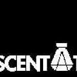 Scentational usa Profile Picture