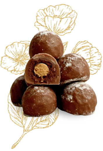 Teuscher Truffle Chocolates Online in UAE