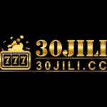 30jili ltd Profile Picture