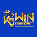 k9winfinance Profile Picture