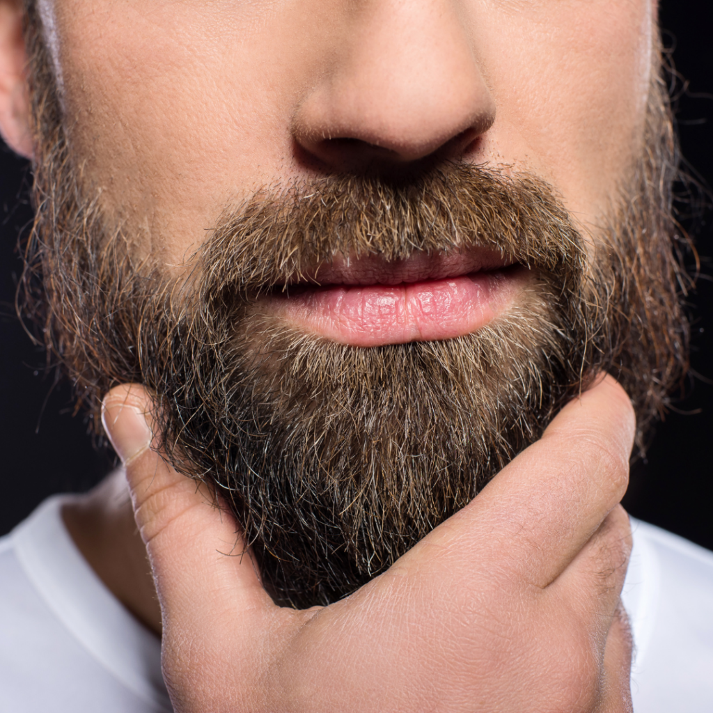 Best Beard Oil & Care Products for Growth UK | The Wild Nettle Co