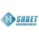 SHBET org mx Profile Picture