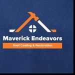 Maverick Endeavors LLC Profile Picture