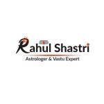 Pt Rhaul Shastri Profile Picture