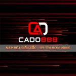 Cado888 casino Profile Picture