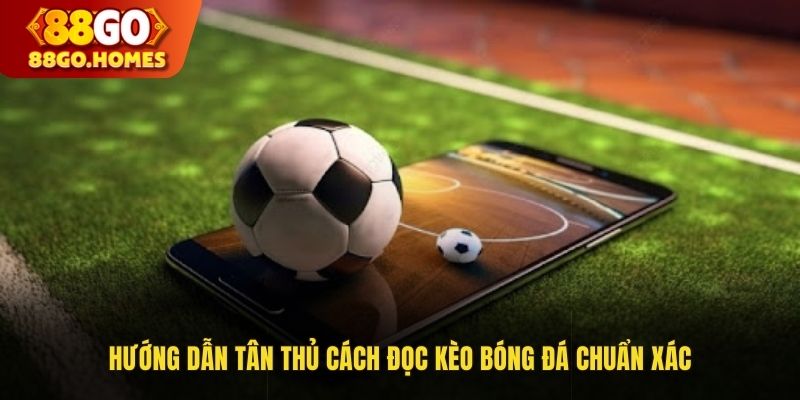 Hướng Dẫn Tân Thủ Cách Đọc Kèo Bóng Đá Chuẩn Xác Nhất