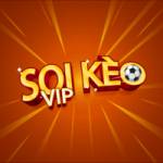 Soikeo Vip Profile Picture