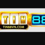 Tin 88 Profile Picture