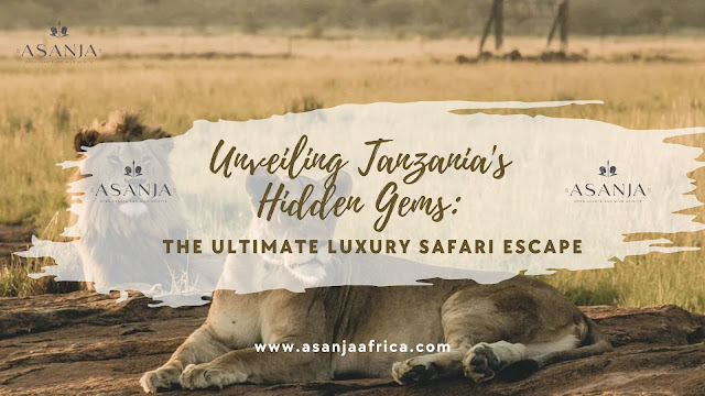 Unveiling Tanzania's Hidden Gems: The Ultimate Luxury Safari Escape