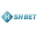 Shbet 38com Profile Picture