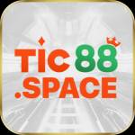 TIC 88 Profile Picture