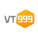 vt999 Profile Picture