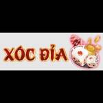 Xóc đĩa Profile Picture