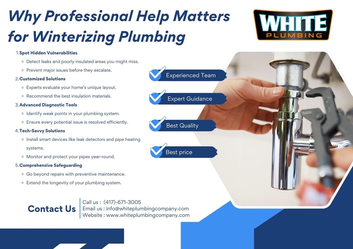 Why Professional Help Matters for Winterizing Plumbing ...