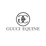 Gucci Equine Horses For Sale in USA Profile Picture