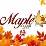 Maple Grand Profile Picture