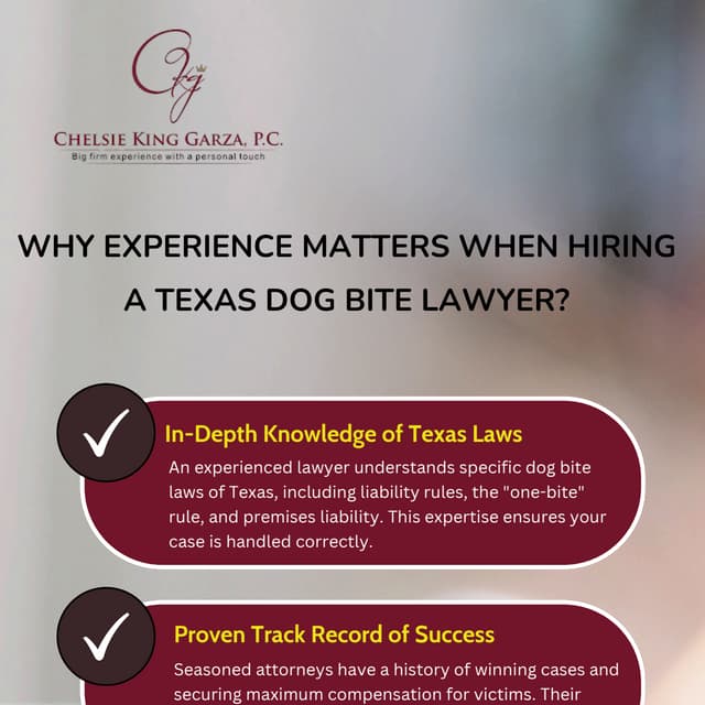 Why Experience Matters When Hiring a Texas Dog Bite Lawyer? | PDF