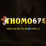 THOMO67 Profile Picture