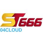 ST666 04cloud Profile Picture