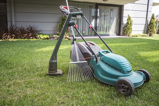 Tips To Follow Before Buying Professional Landscaping Equipment