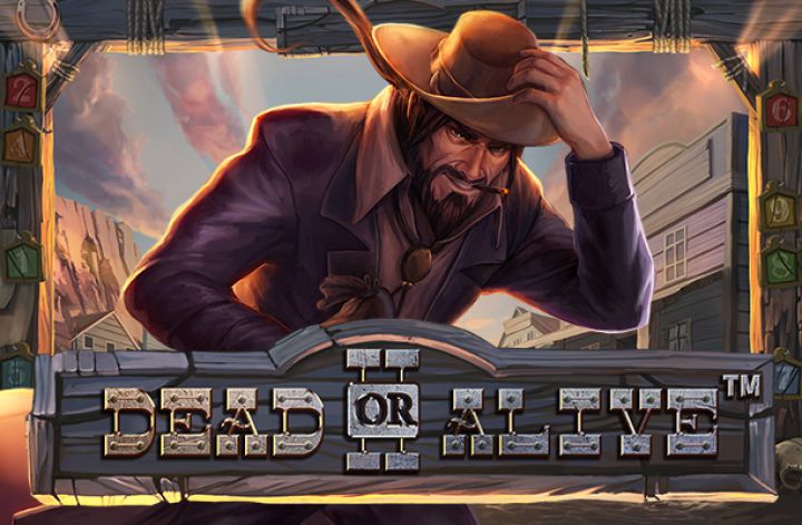 Dead or Alive 2 Slot: How to Play, Download PC Demo, Free Slot Review & More for India Casino Fans