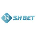 Shbet co com Profile Picture