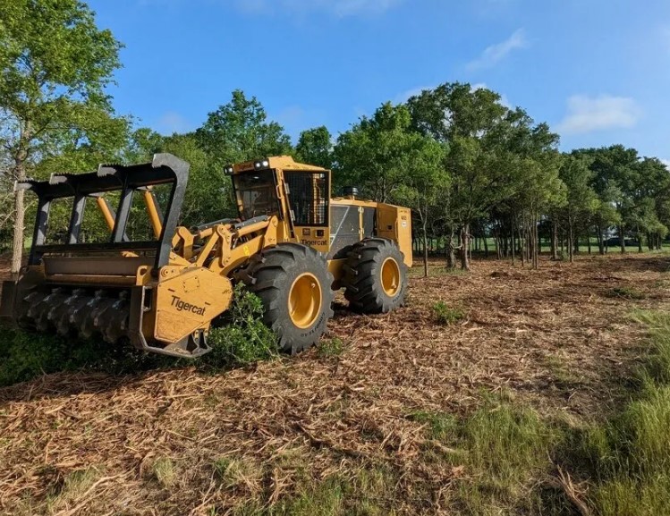 East Texas Land Clearing Services Cover Image