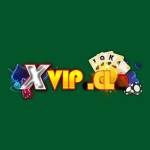 xvipcl Profile Picture