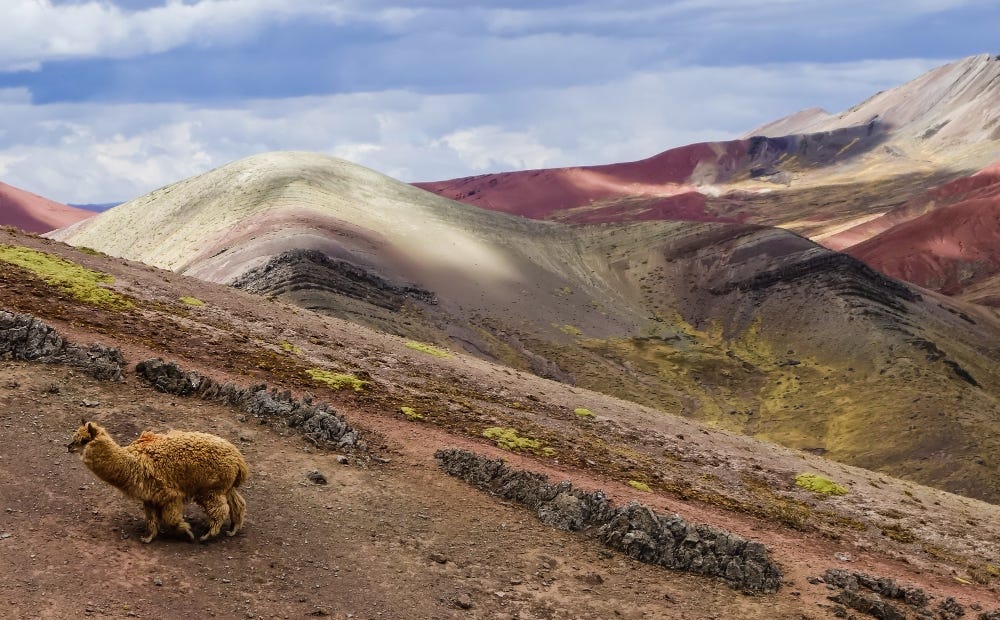 8 Mistakes to Avoid When Trekking to Vinicunca | by Andean Trekking Peru | Feb, 2025 | Medium