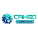 Caheo TV Profile Picture