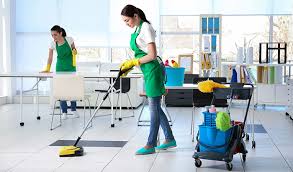 1st Class Sofa Cleaning Sydney Cover Image