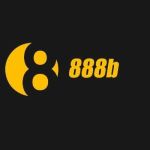 888b vnnet Profile Picture