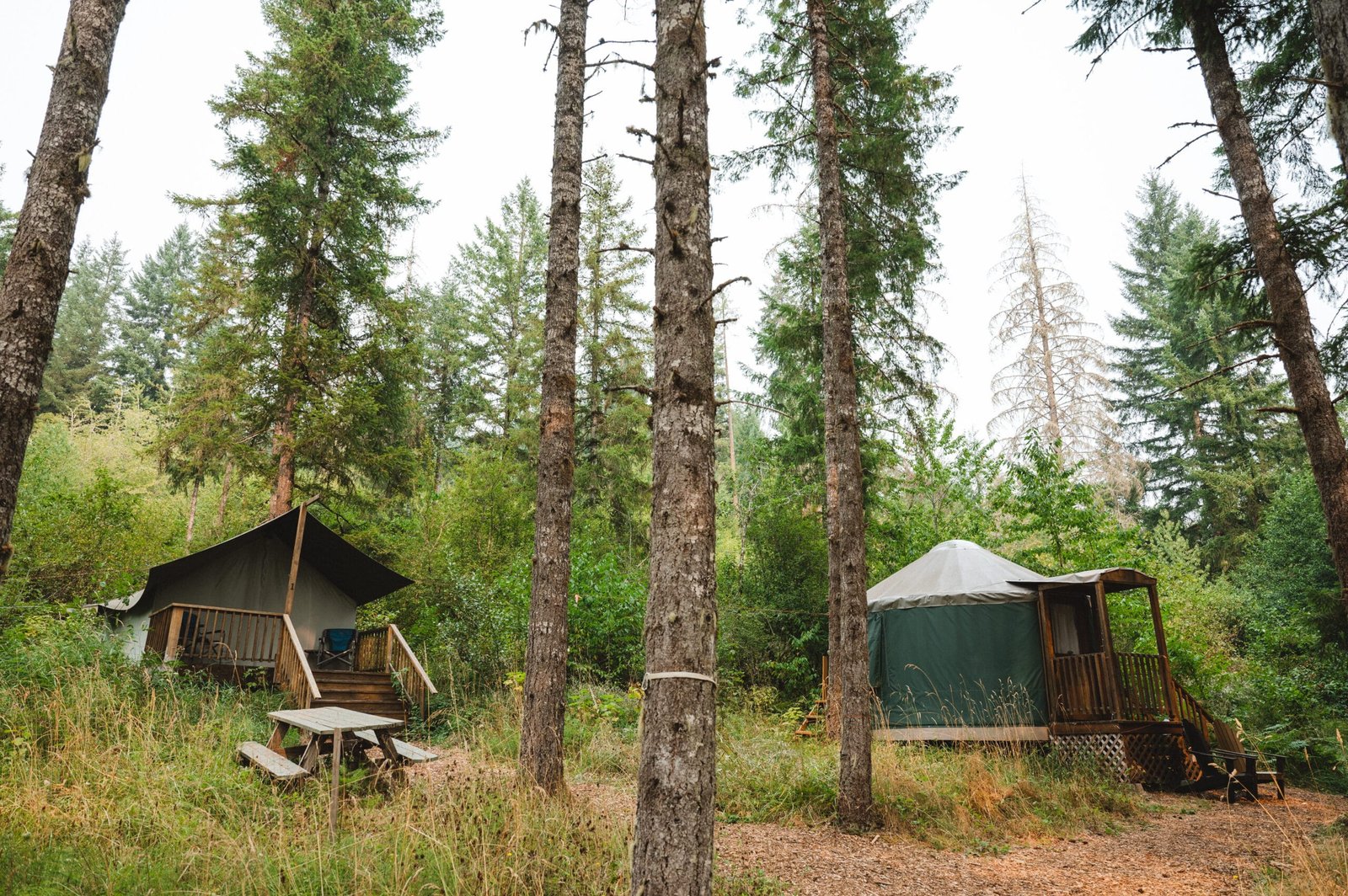 Hosting a Glamping Wedding in Oregon | Vernonia Springs