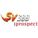 sv388iprospect Profile Picture