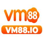 VM88 Profile Picture