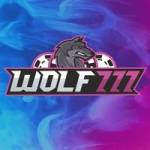 wolf777 cricket Profile Picture