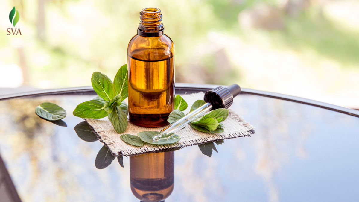 Seeking Wholesale Essential Oils for a Resale? – SVA Organics