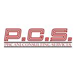 Piscani Consulting Services Profile Picture